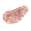 6.7in Ear Acupuncture Model Silicone Engraving Ear Massage Acupuncture Model