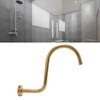 Stainless Steel S Shaped Raised Shower Arm and Flange NPT