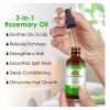 🌿💦 Rosemary, Mint & Pumpkin Hydrating Oil Kit (2x100ml) –