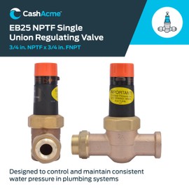 Cash Acme 3/4 Inch EB25 Single Union Pressure Regulator Valve (PRV), 45 PSI, 23136-0045