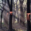 Shupakul 4 Pcs Hunting Trail Marking Ribbons-140 Ft Reflective Stripe