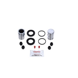 Bigg Red - Rear Brake Caliper Repair Seal Kit and Pistons - Compatible with Freelander 2006 Onwards
