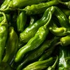 Shishito Pepper 70 Seeds, Japanese Heirloom Peppers, Shishitōgarashi, Non-GMO Japanese