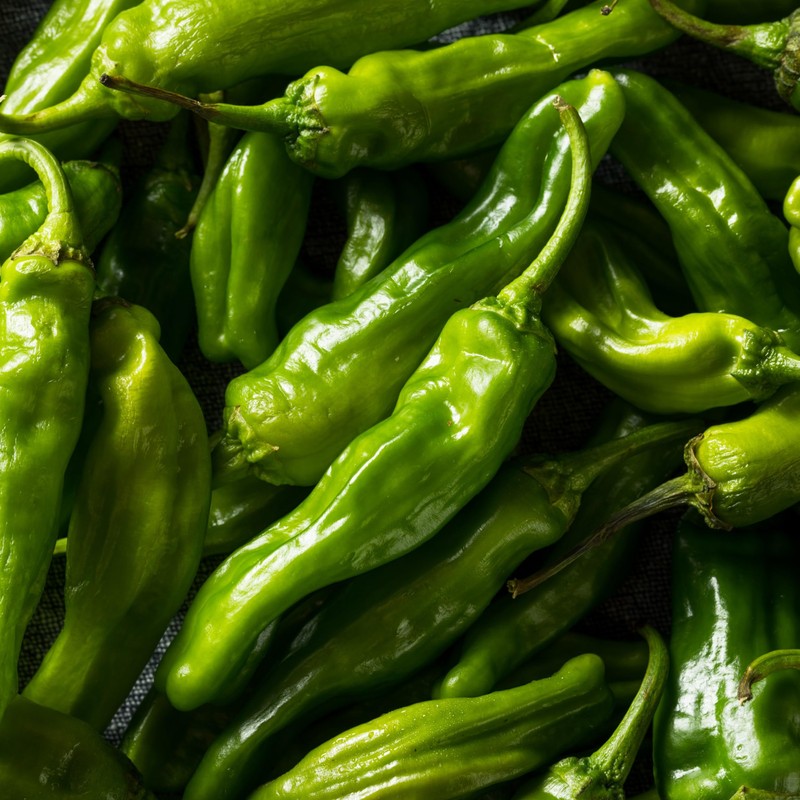 Shishito Pepper 70 Seeds, Japanese Heirloom Peppers, Shishitōgarashi, Non-GMO Japanese