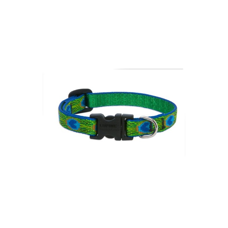 LupinePet Originals 1/2" Tail Feathers 10-16" Adjustable Collar for Small