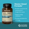 Nature's Sunshine Master Gland, 120 Capsules | Provides Complete Nutritional
