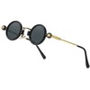 Technigadgets Isaac Steampunk Sunglasses (Gold/Gray)