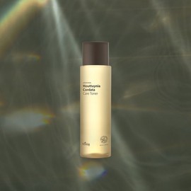Nature's Friend 다자연 어성초 케어 토너 200ml Dajayeon Eoseongcho Care Toner 200ml