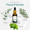 Essential Oil Blend for Focus & Clarity by Enhanced Essentials