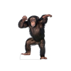 Cardboard People Young Chimpanzee Life Size Cardboard Cutout Standup
