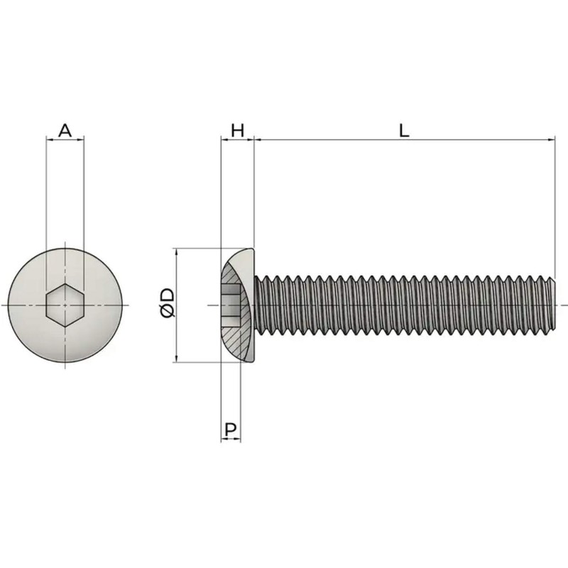M6 (6mm x 10mm) Hex Socket Button Head Screws -