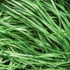 200 g Easter Grass, Easter Grass Shredded Paper Green, Easter