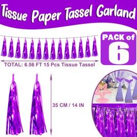 6P Purple Foil Fringe Metallic Tassel Streamers Banner Tassel Garland for Parade Floats, Bachelorette, Wedding, Birthday, Graduation, Christmas, Bridal/Baby Shower Party Decorations