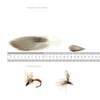 KTGCOZS Pack of 50 Flank Feathers Fly Tying Natural Barred