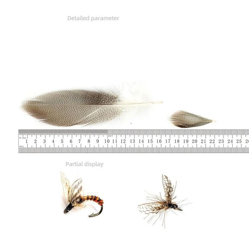 KTGCOZS Pack of 50 Flank Feathers Fly Tying Natural Barred