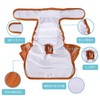 Avont 3 Pcs Female Dog Manor Belt Washable Reusable High