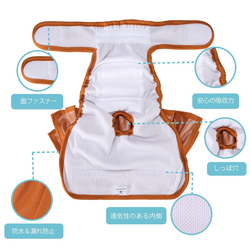 Avont 3 Pcs Female Dog Manor Belt Washable Reusable High