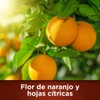 Suavizante Natural Ropa Flor Naranjo & Cítricos 45 Lavados
