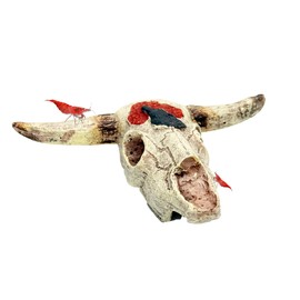 CTWPets Cow Skull Reptile Hide – Natural Desert Skull Decor for Lizards, Snakes, and Aquarium Tanks – Weathered Look Reptile Cave Shelter