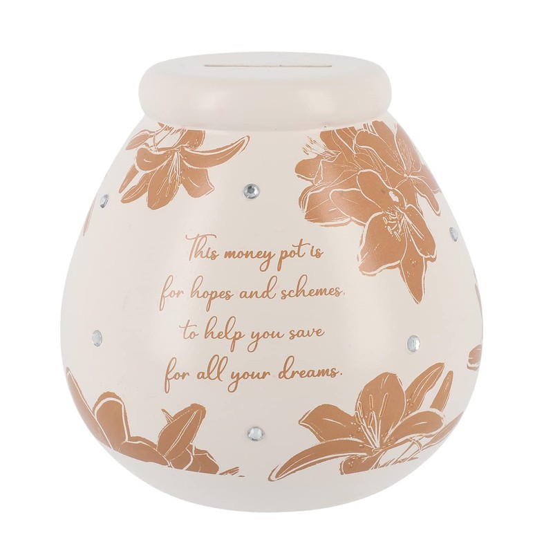 Pot Of Dreams Ceramic Money Pot, Pink Floral, One Size