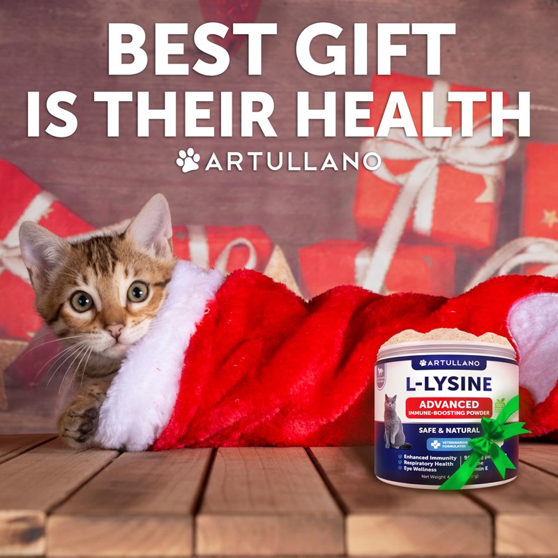 L-Lysine for Cats - Lysine Powder Supplement - 900mg/serving -