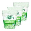 Charlie’s Soap Laundry Powder (100 Loads, 3 Pack) Hypoallergenic Deep