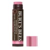 Burt's Bees Tinted Lip Balm, Pink Blossom 0.15 oz (4.25