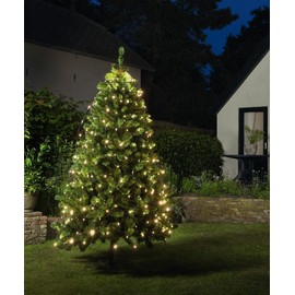 Coen Bakker 160 LED Trapezoidal Cone Warm White Net for Christmas Tree Timer 130-170 cm Light Net 10 m Cable