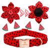 Lionheart glory Summer Dog Collar with Flower, Fruit Print Female