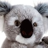 Plush & Company 05932 and Company Koline Koala Plüschtier, 22