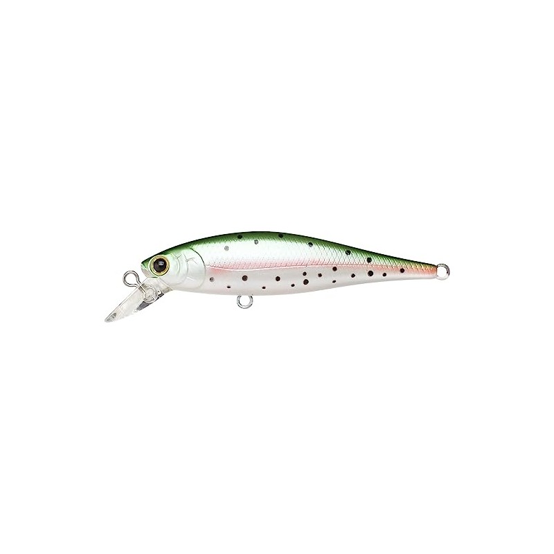 LUCKY CRAFT Pointer 65 Trout Lure (056 Rainbow Trout)