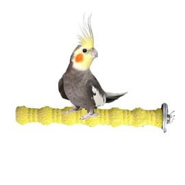 Litewoo Bird Perch Stand Paw Beak Grinding Stick Grit Perches for Parrot Budgies Parakeet Cockatiels Conure Finch Cage Accessories Random Color Shape B（7.09inch/18cm）