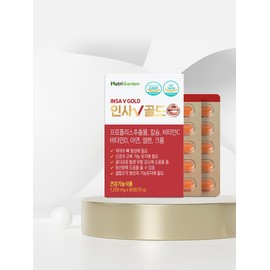 [Nutri Garden] Insa V Gold 60 tablets (2-month supply for teeth, gums, bones, muscles, periodontal disease, osteoporosis, antioxidants) / [뉴트리가든]인사브이골드 60정(2개월분치아,잇몸,뼈,근육,치주질환골다공증,항산화)