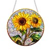 Sun Catchers Indoor Window Black Cat Butterfly Dragonfly Light Source