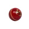 SG club cricket Ball Leather(Red) Standard Size
