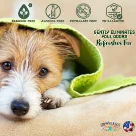 Honey Pet Shampoo for Dogs and Cats 16 oz. | Cruelty-Free | Paraben-Free | Biodegradable and Non-Toxic | Made in The USA