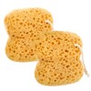 Natural Sea Sponge for Shower - 2PCS Large Ultra Soft