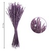 Uieke Dried Lavender Flowers, 16" Dried Lavender Bundles Dried Purple