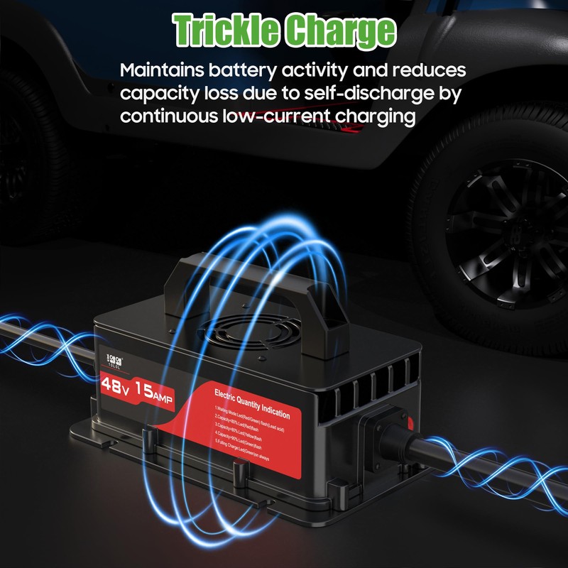 10L0L 48V 15A Golf Cart Rapid Charger for Club Car