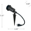 Bell Hubbell-Bell SL101B Portable Spike Light Par 38 Bulb Bronze