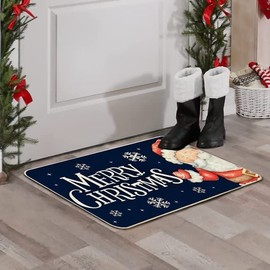 Doormat Non Slip Front Door Mat Doormat Funny Entrance Floor Mat Shoes Off Indoor Decorative Doormat Floor Mat 16x24 Inch