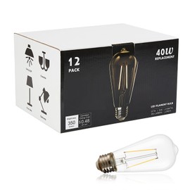 winsaLED 12 Pack LED Edison Bulbs 40 Watts Equivalent, 4 Watt LED Vintage Light Bulb, 5000K Daylight ST19 Light Bulb, 400LM E26 Base for Light Fixtures