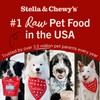 Stella & Chewy's Freeze-Dried Raw Salmon & Cod Meal Mixers-