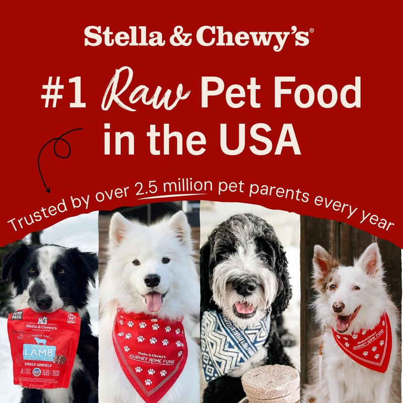 Stella & Chewy's Freeze-Dried Raw Salmon & Cod Meal Mixers-
