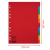 Esselte 10 Packs A4 Card File Dividers. 10 Parts Coloured
