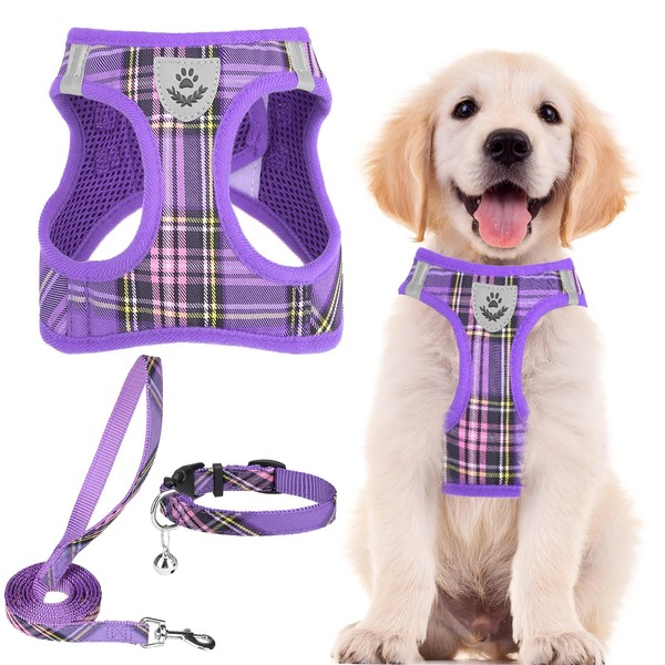 PUPTECK Dog Harness Small Dog with Collar and Lead Set