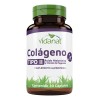 Vidanat Colageno Tipo Ii Ácido Hialurónico Suplemento 30caps