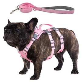 Wuffley Escape Proof Dog Harness and Leash Set, Lightweight Dog Harness with Lift and Assist Handle, No Pull Reflective Pet Vest for Small Medium Dogs, Ideal for Puppy Walking and Training (Pink, M)