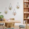 Cinnvoice 4 Pcs Heart Glass Pressed Flower Frame, Heart Hanging