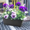 LEXININ 6 Pack 14 Inch Black Plastic Rectangular Window Planter